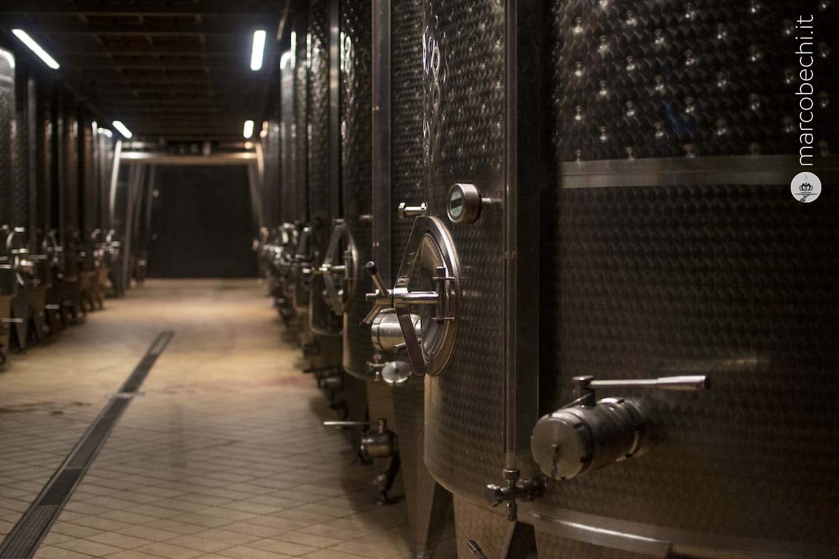 La modernissima cantina di vinificazione di Val delle Rose