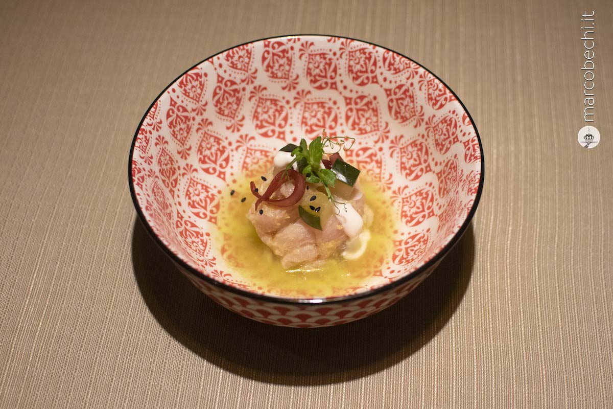 Ceviche di Ombrina, Cetriolo, Quartirolo, Sesamo