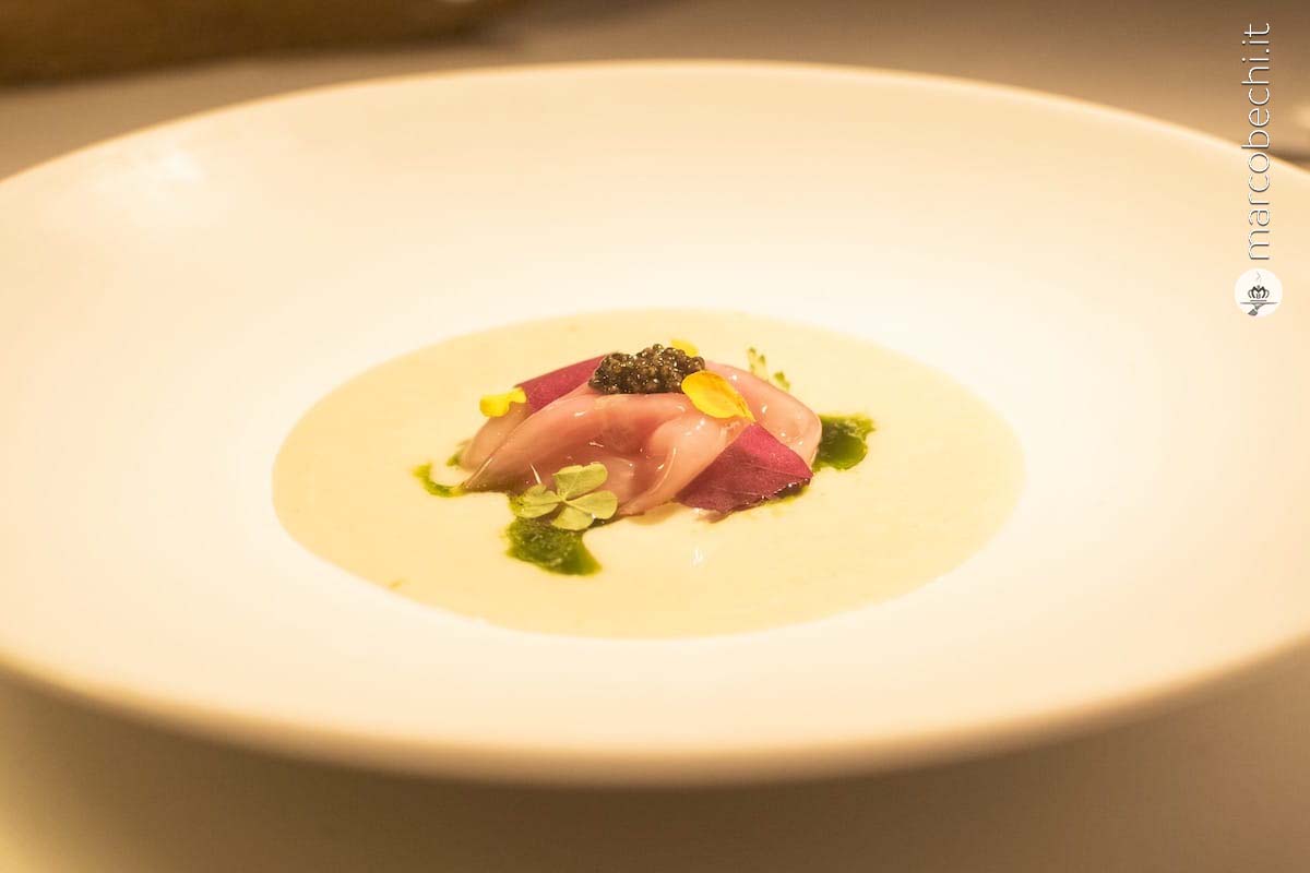 Ceviche di ricciola