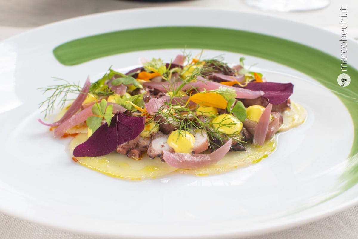 Insalata di varietà di quinoa, fagioli locali, avocado, olive e gamberi piastrati al limone