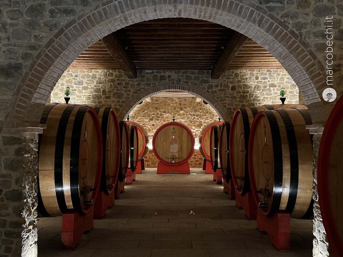 La Cantina di Sassodisole