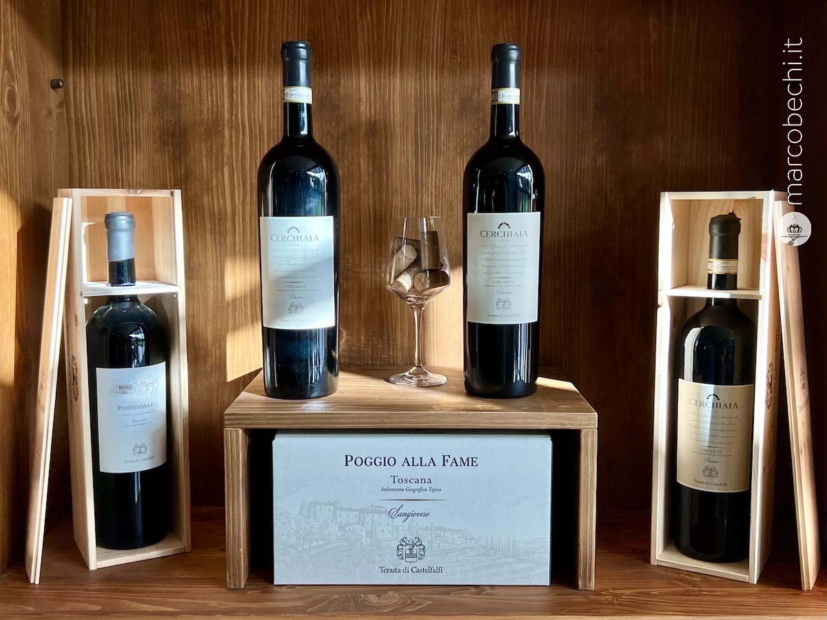 Alcuni dei vini prodotti a Castelfalfi