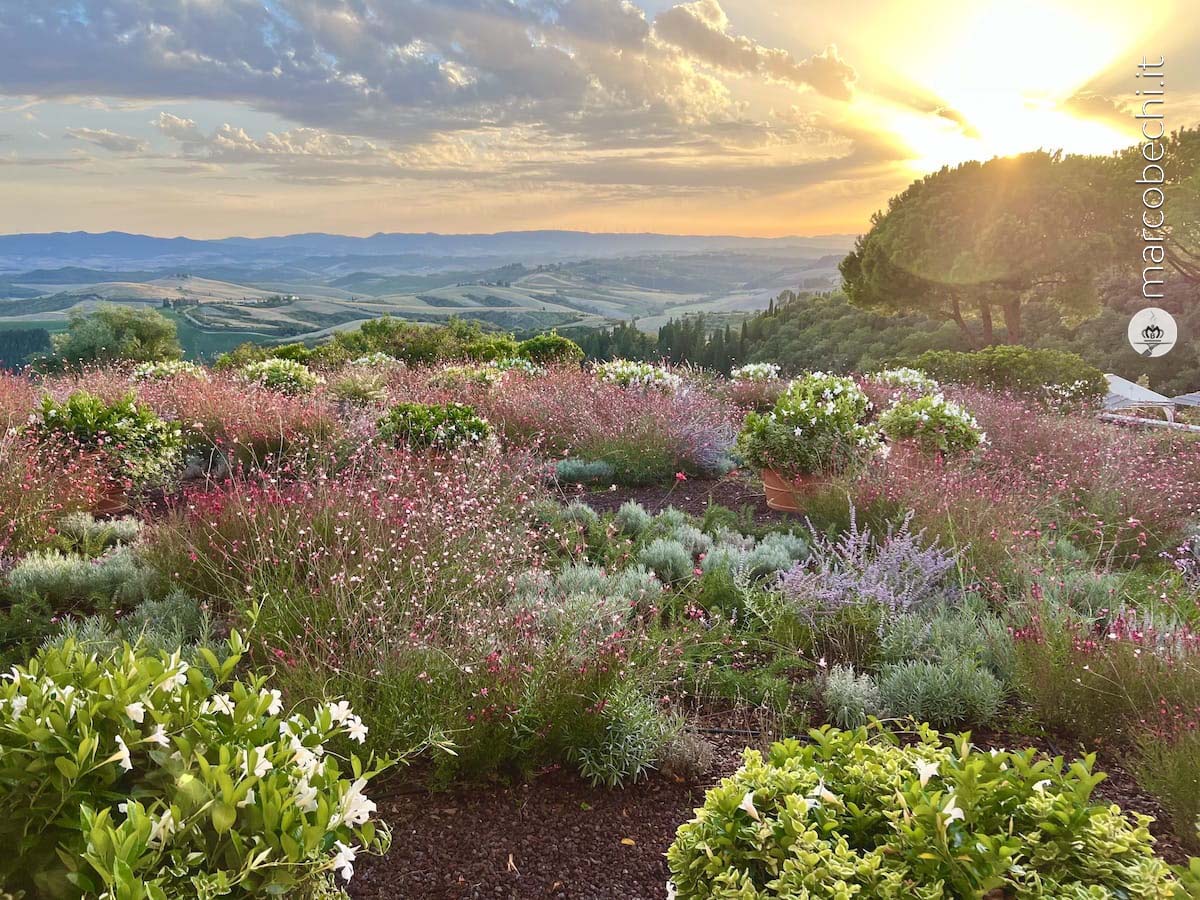 Castelfalfi il Toscana Resort con Hotel, Ville, Golf e otto Ristoranti
