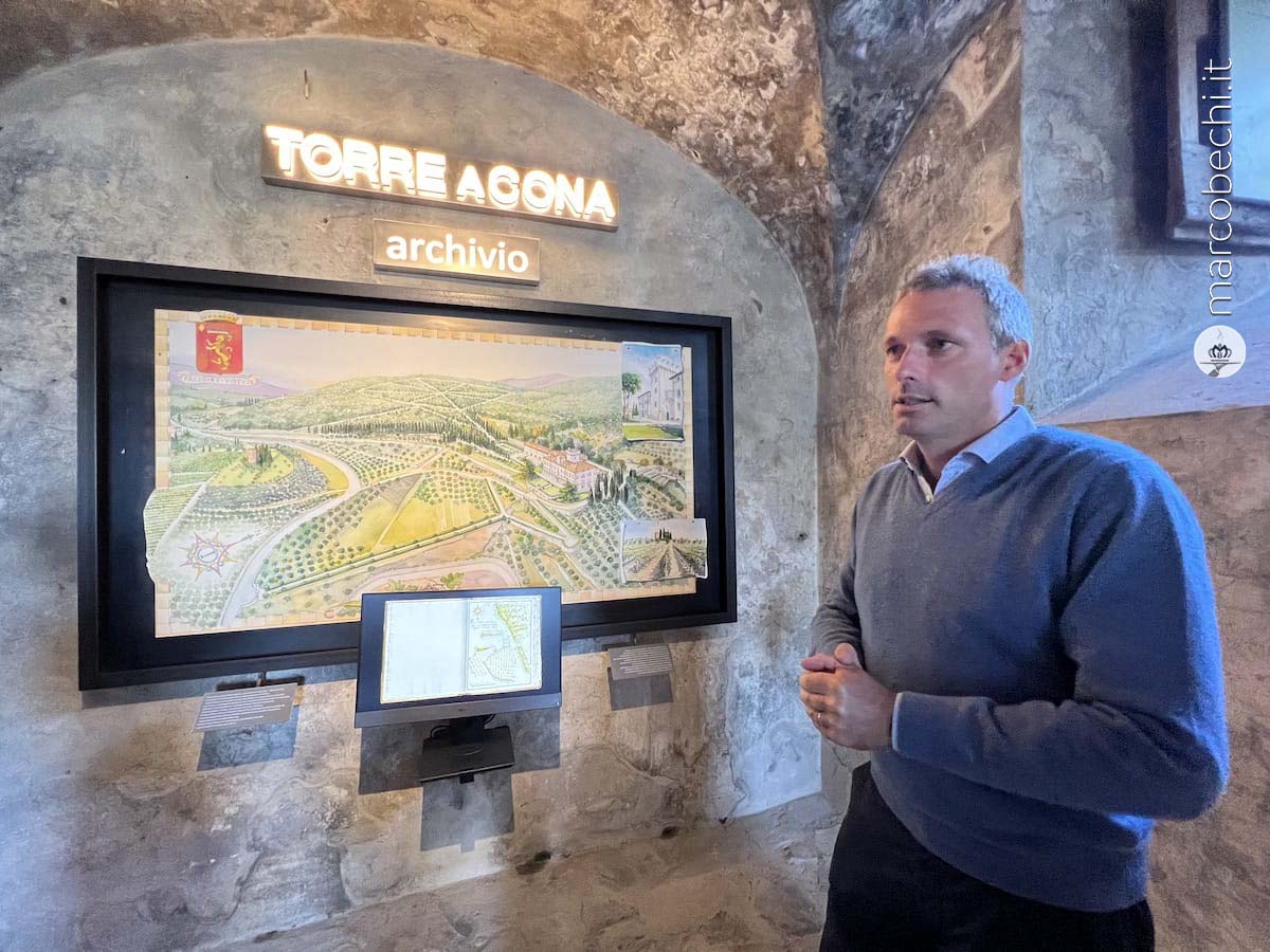 Torre a Cona, l'ospitalità tra vino, cibo e accoglienza dei Conti Rossi di Montelera a Rignano sull'Arno