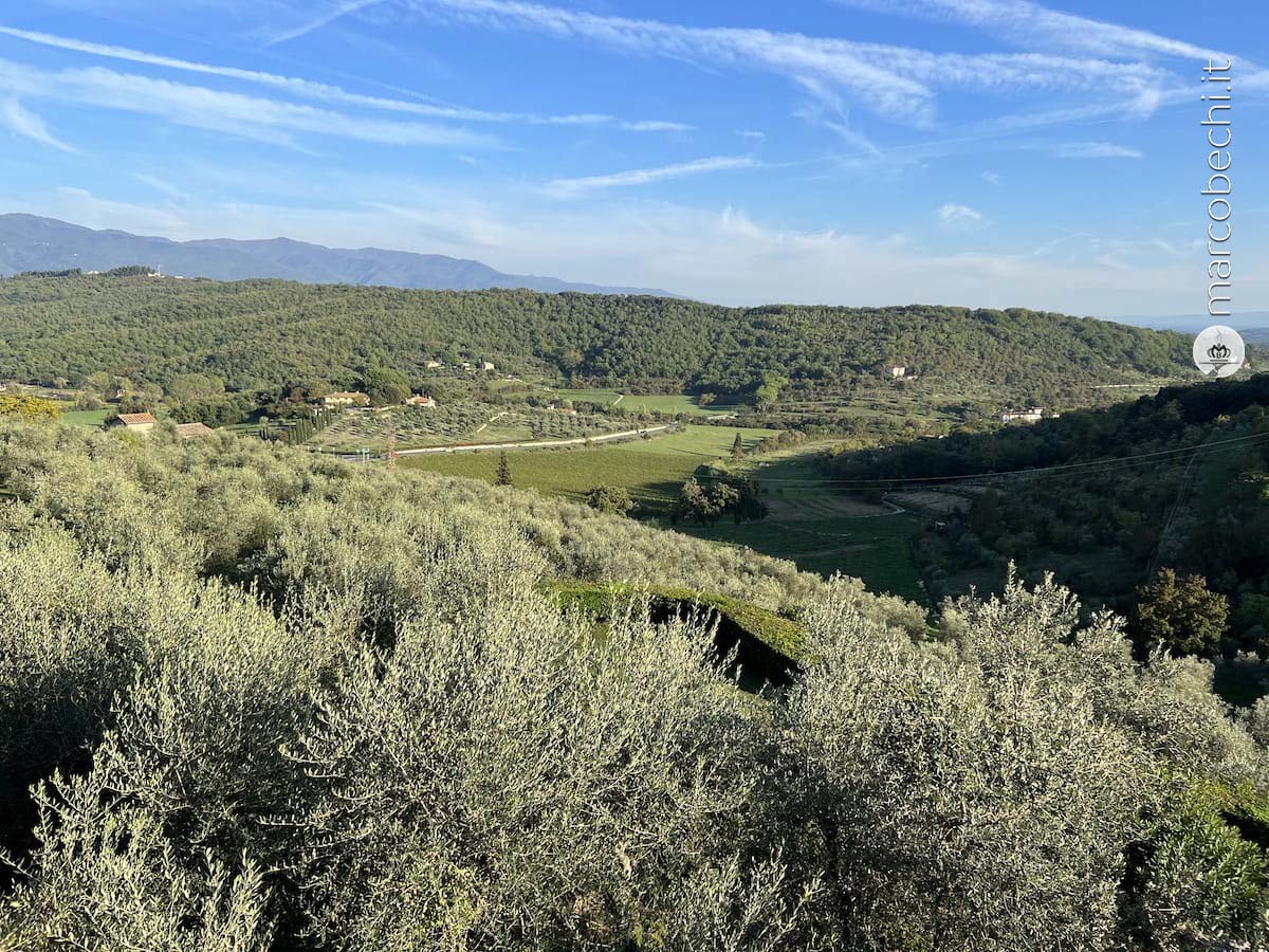 Torre a Cona, l'ospitalità tra vino, cibo e accoglienza dei Conti Rossi di Montelera a Rignano sull'Arno Torre a Cona, l'ospitalità tra vino, cibo e accoglienza dei Conti Rossi di Montelera a Rignano sull'Arno