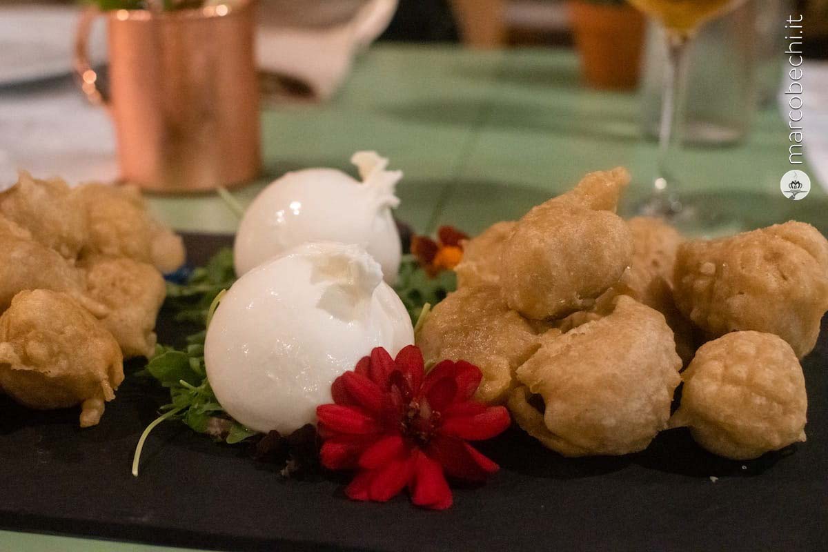 Burrata e coccoli