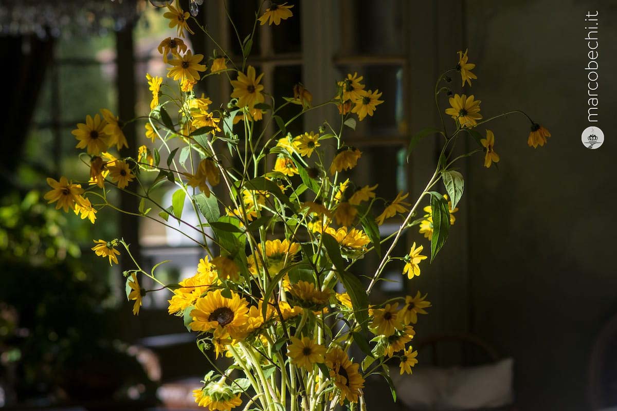 I fiori di Borgo Santo Pietro