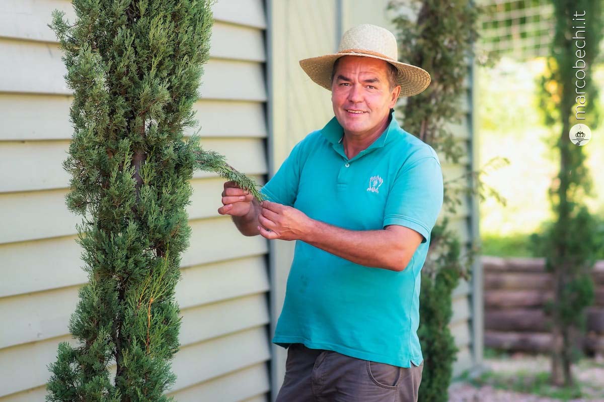 Head gardener erbe aromatiche e orto Giustino Mazic Izudin