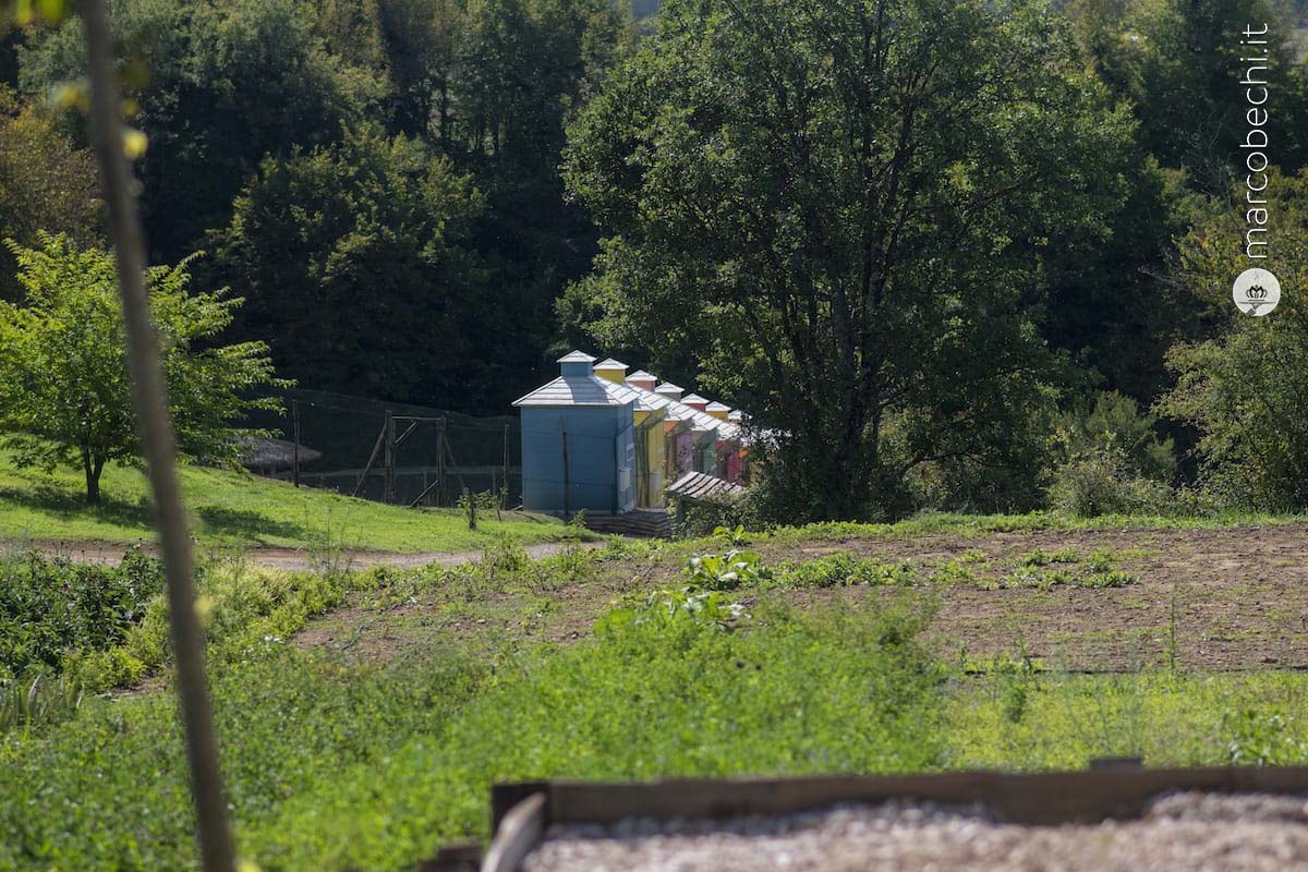 Le case della galline