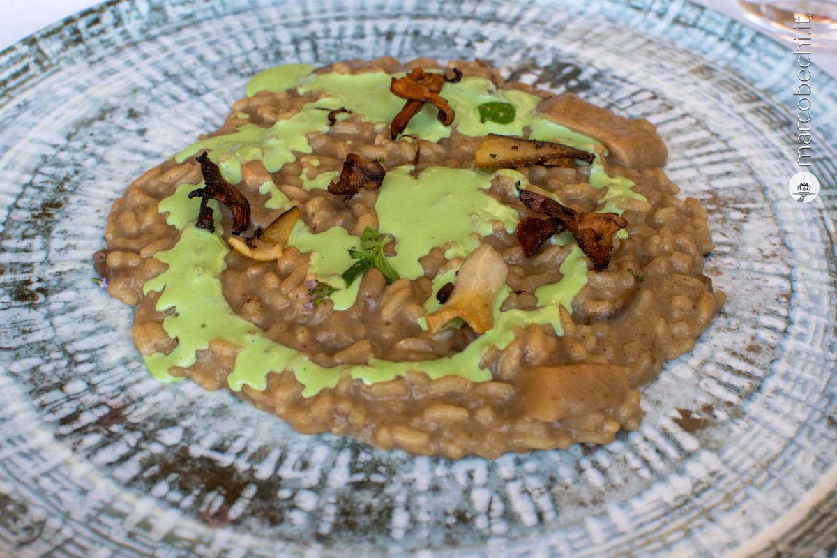 Risotto ai funghi del bosco e fonduta di parmigiano alla nepitella