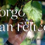 Borgo San Felice: l’accoglienza che ti abbraccia nel Chianti Classico