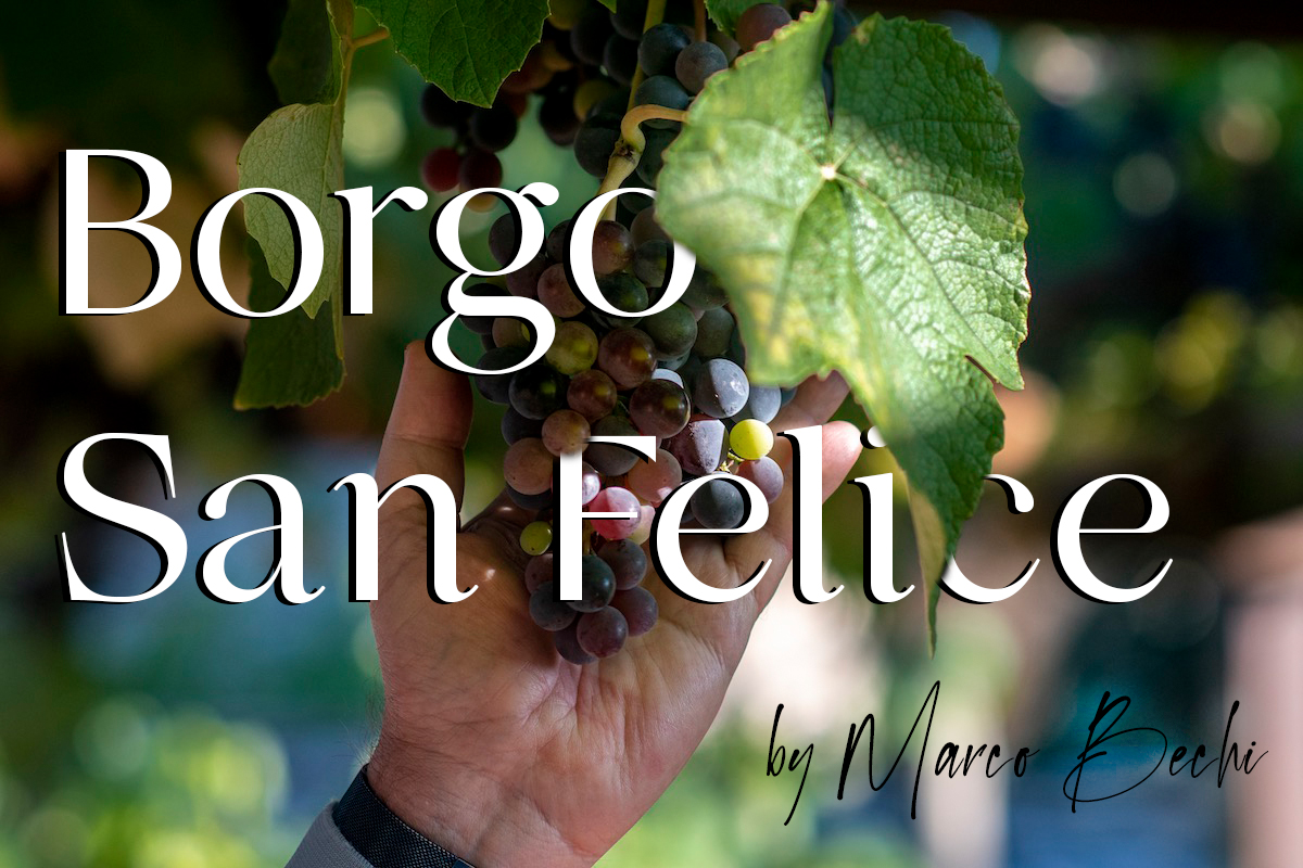 Borgo San Felice: l’accoglienza che ti abbraccia nel Chianti Classico