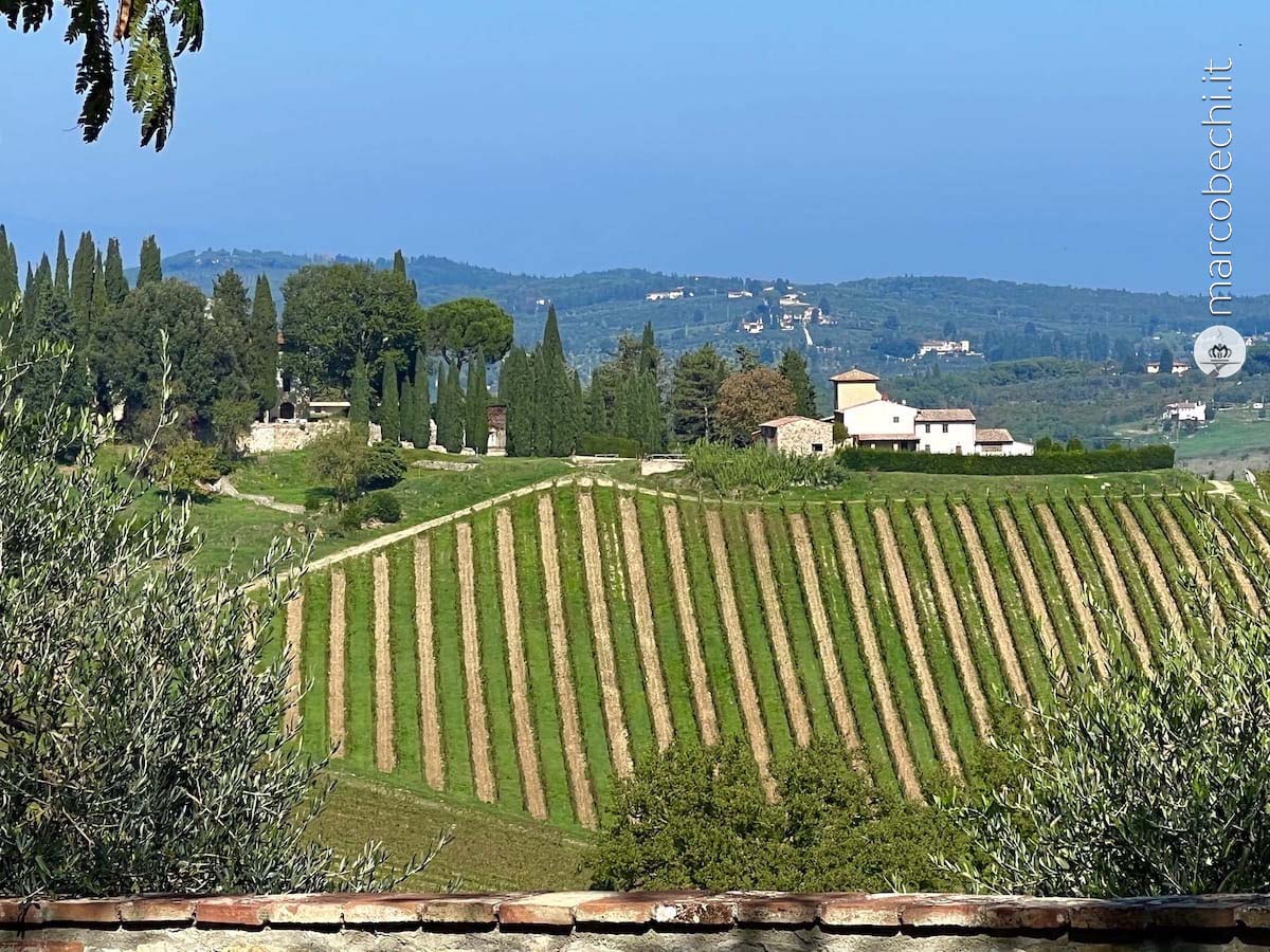 I vigneti del Castello di Gabbiano