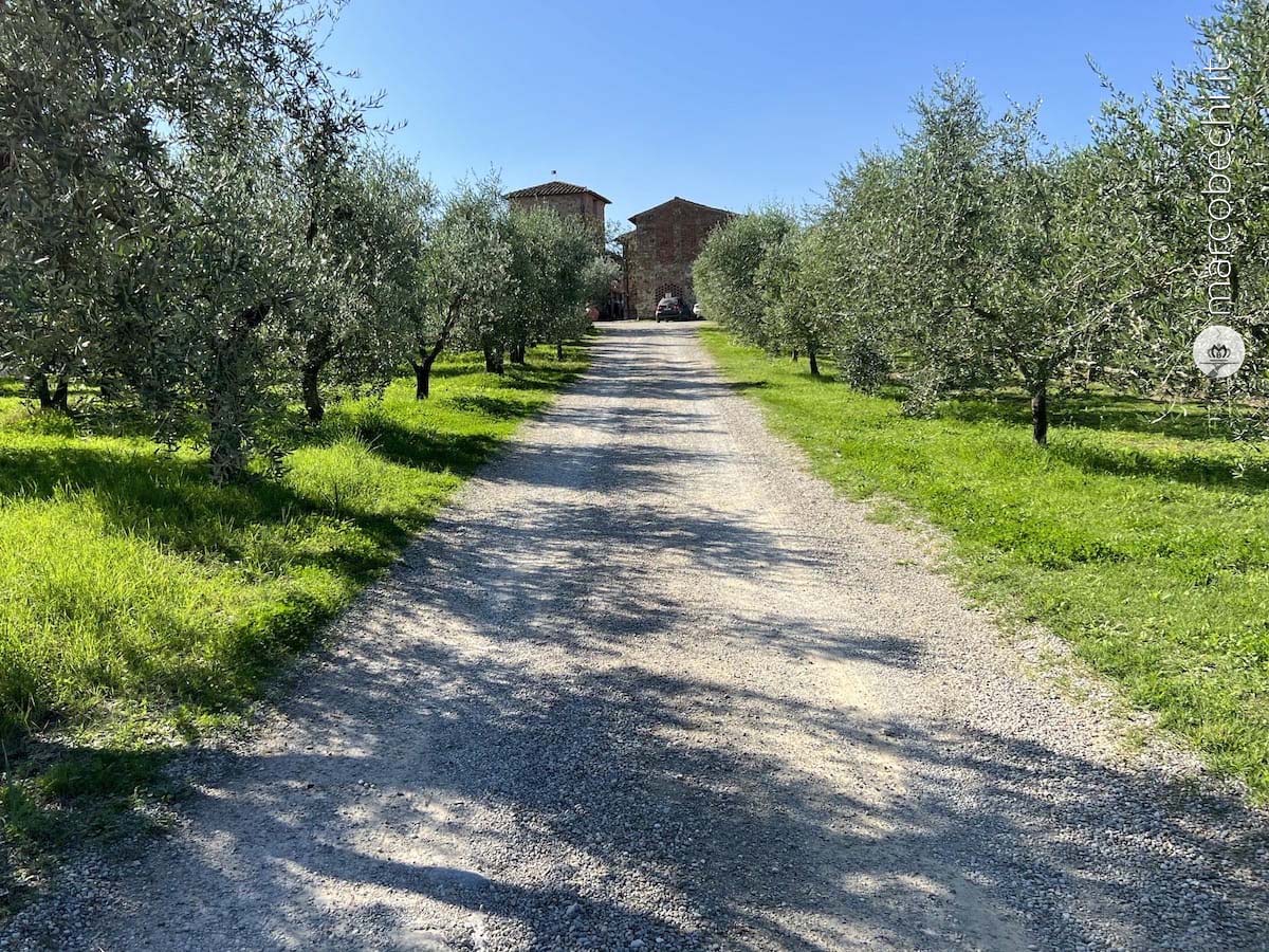 Il viale che conduce al Cavaliere