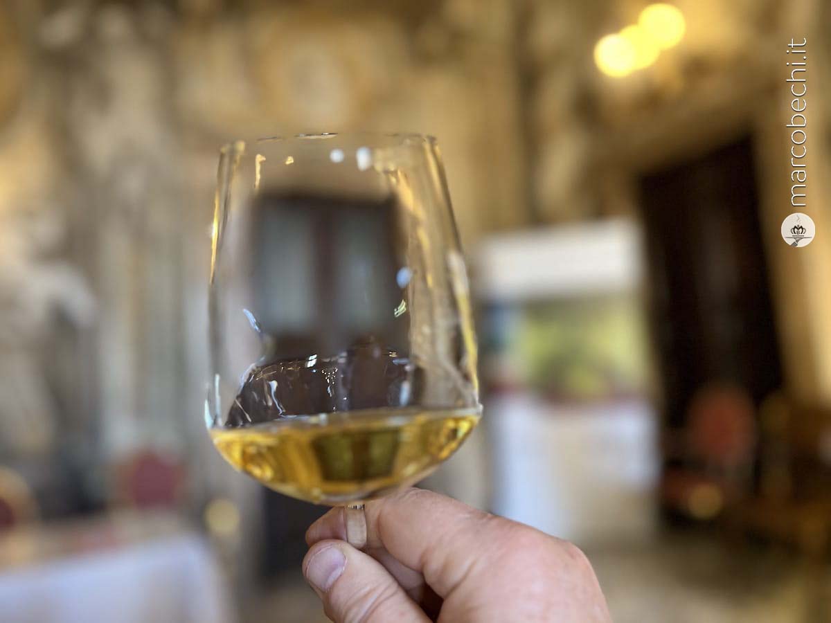 Wine&Siena