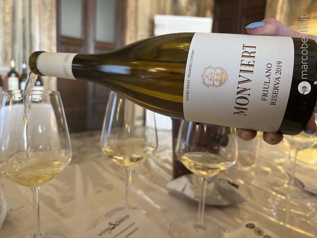Monviert 2019 Friulano Riserva