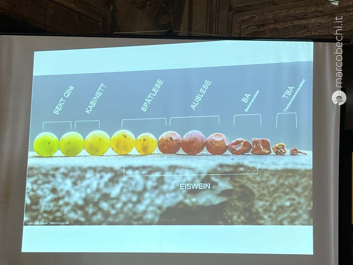 La maturazione dei chicchi d'uva