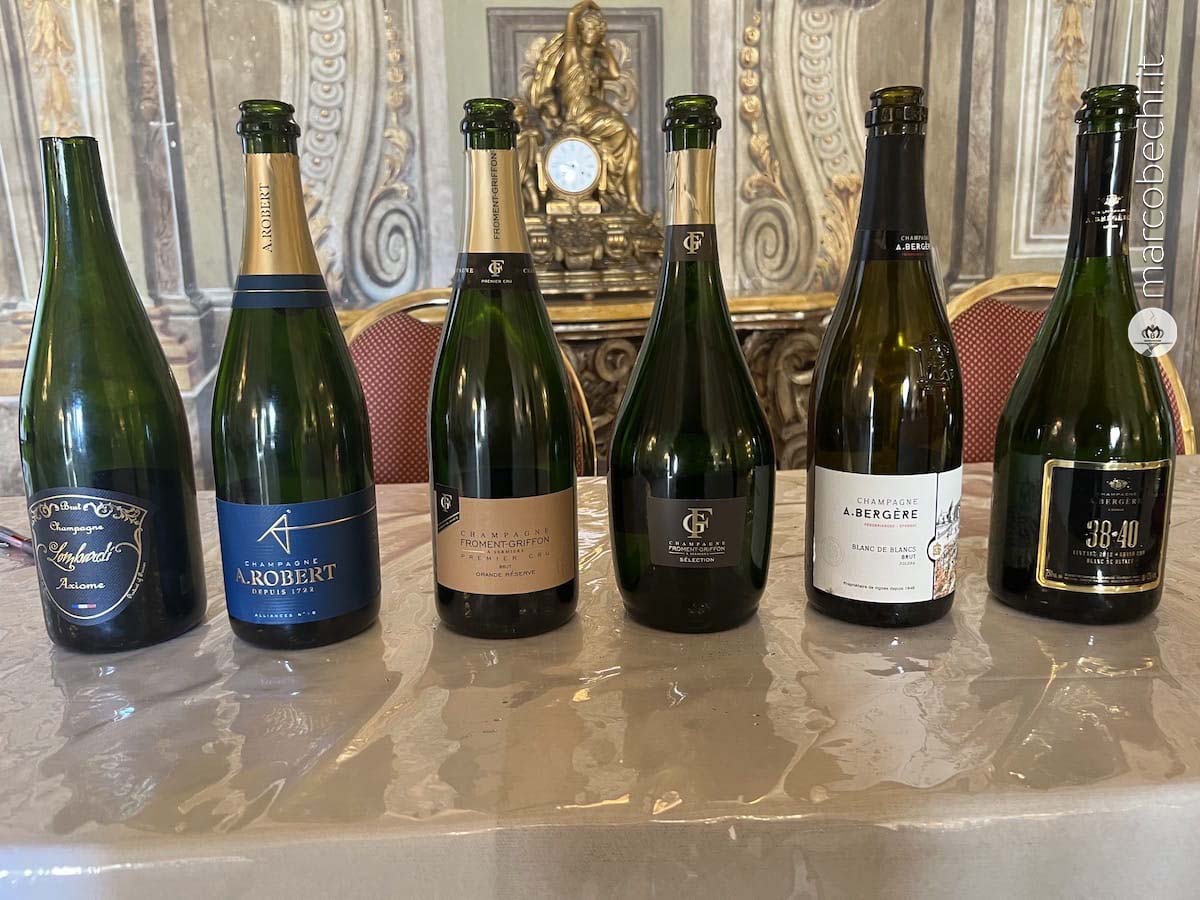 Le Master Classes di Wine & Siena del 29 Gennaio 2023