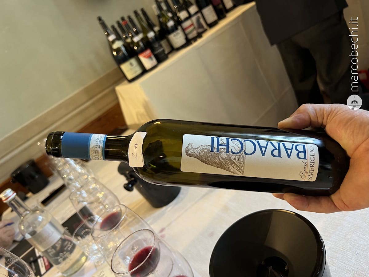 Una delle Syrah di Cortona