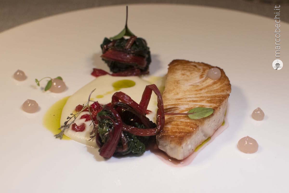 Pavè di ricciola, cremoso di finocchi, bietolona arcobaleno e gel di cevice