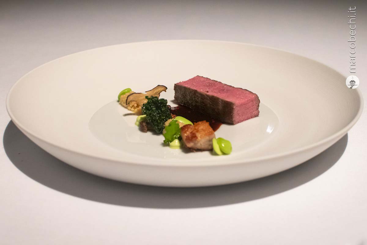 Agnello, calamari, cime di rapa, scalogno fermentato