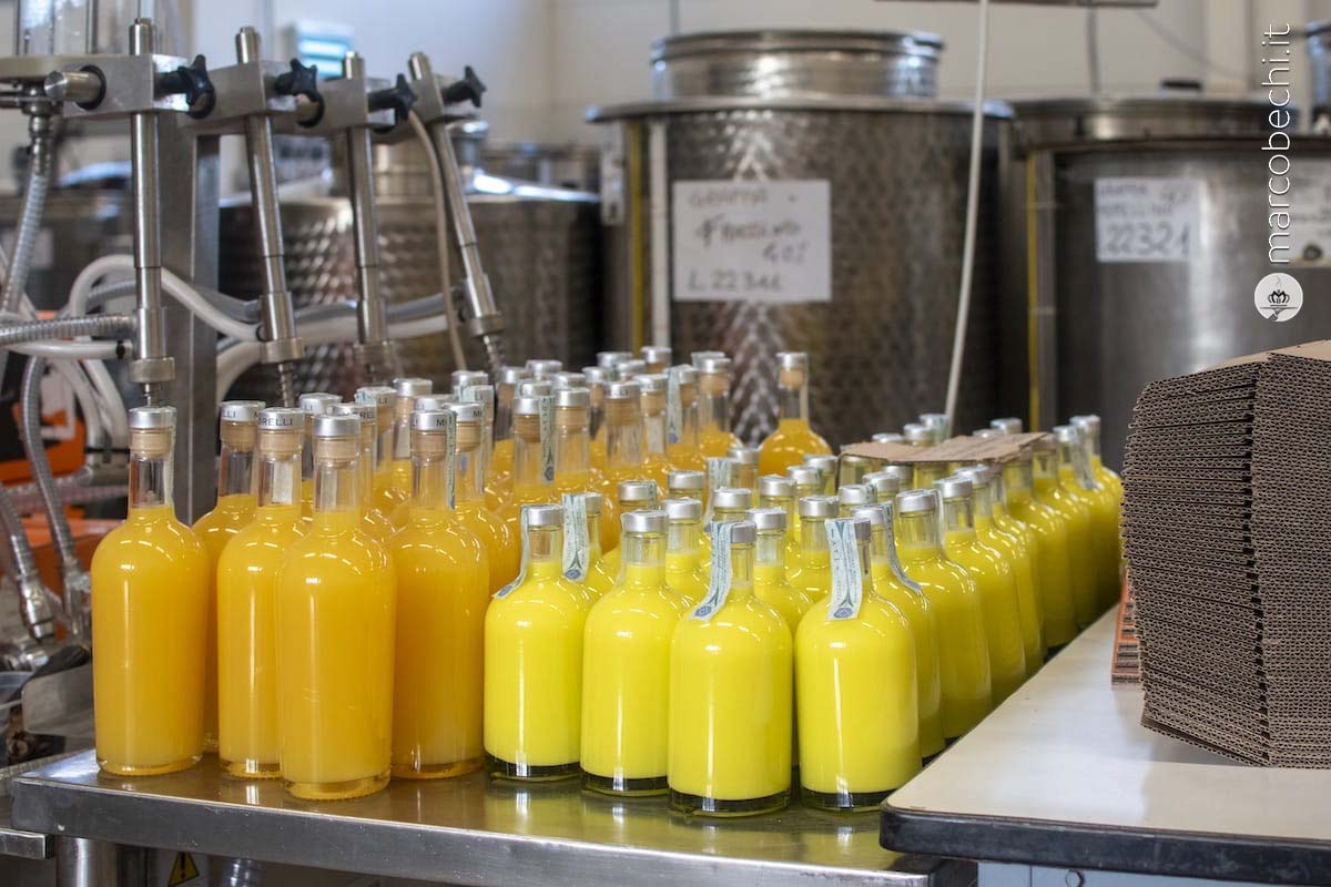 Il limoncino e l'arancino pronti da etichettare