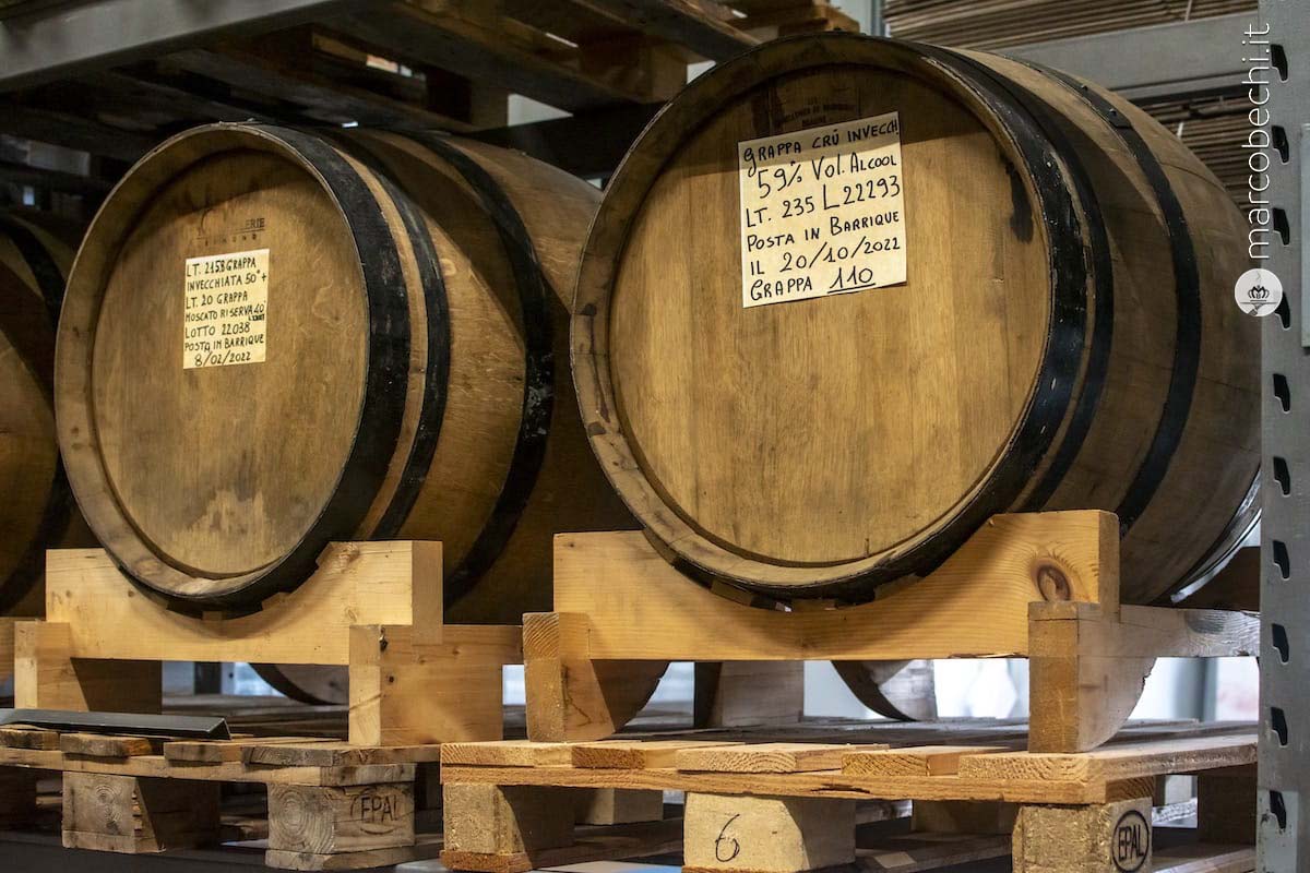 Le botti per l'invecchiamento delle grappe