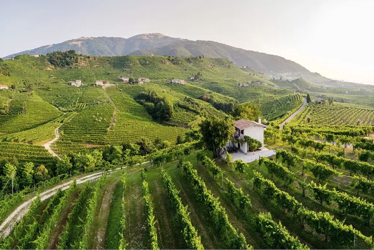 Le vigne di Cartizze La Rivetta