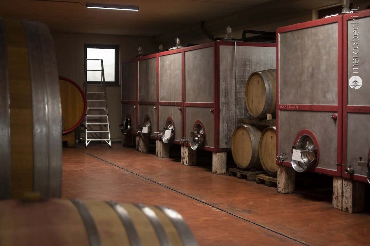 I tini di cemento nella cantina Bruni