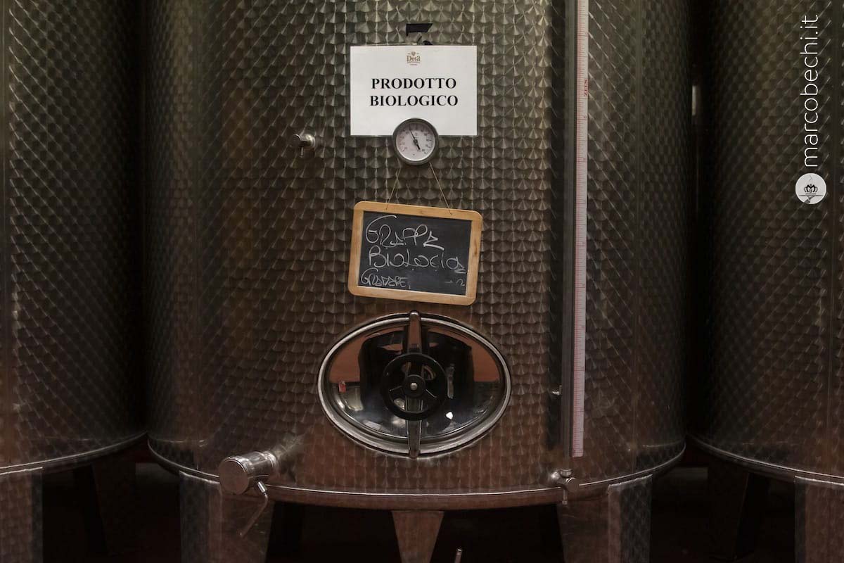 Grappa biologica