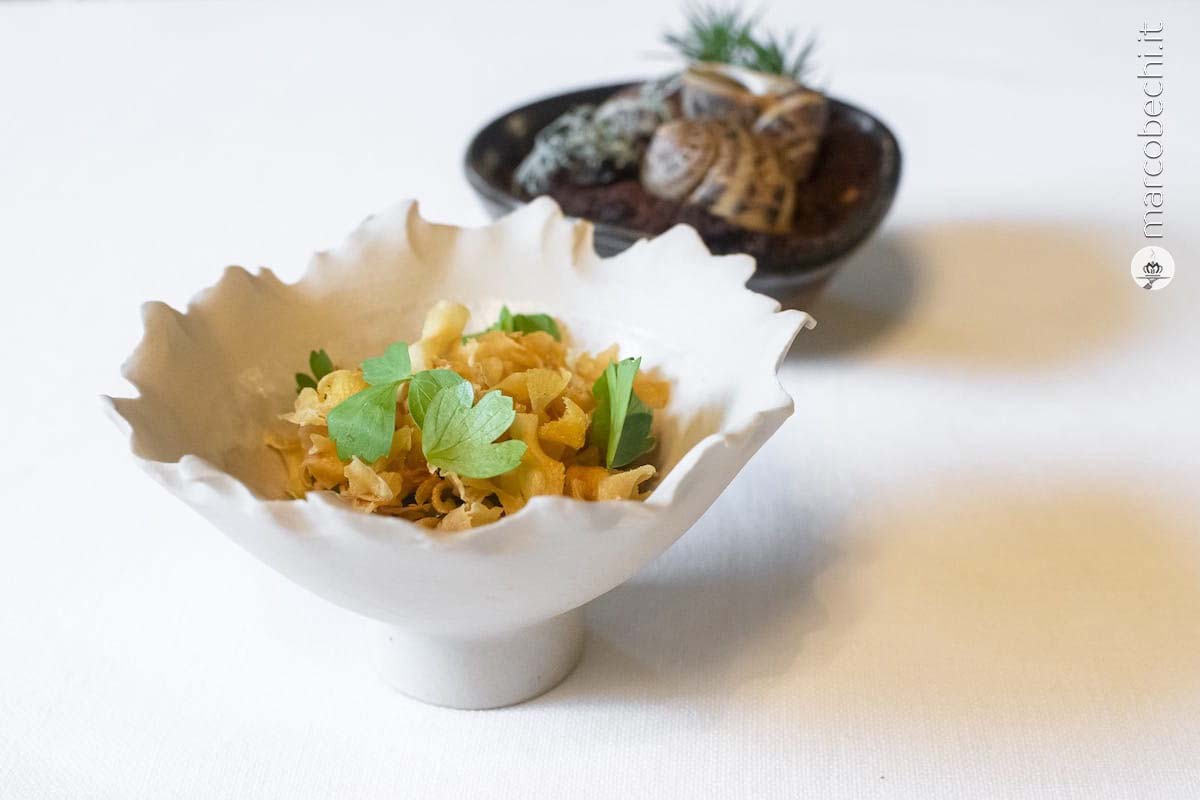 Chiocciole, pastinaca, nocciola, levistico, prezzemolo