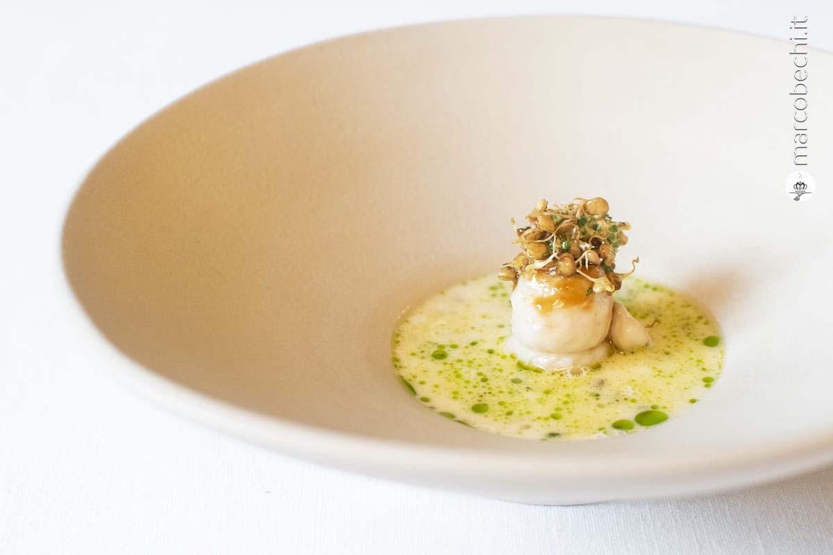 Sogliola, lenticchie germogliate, beurre blanc