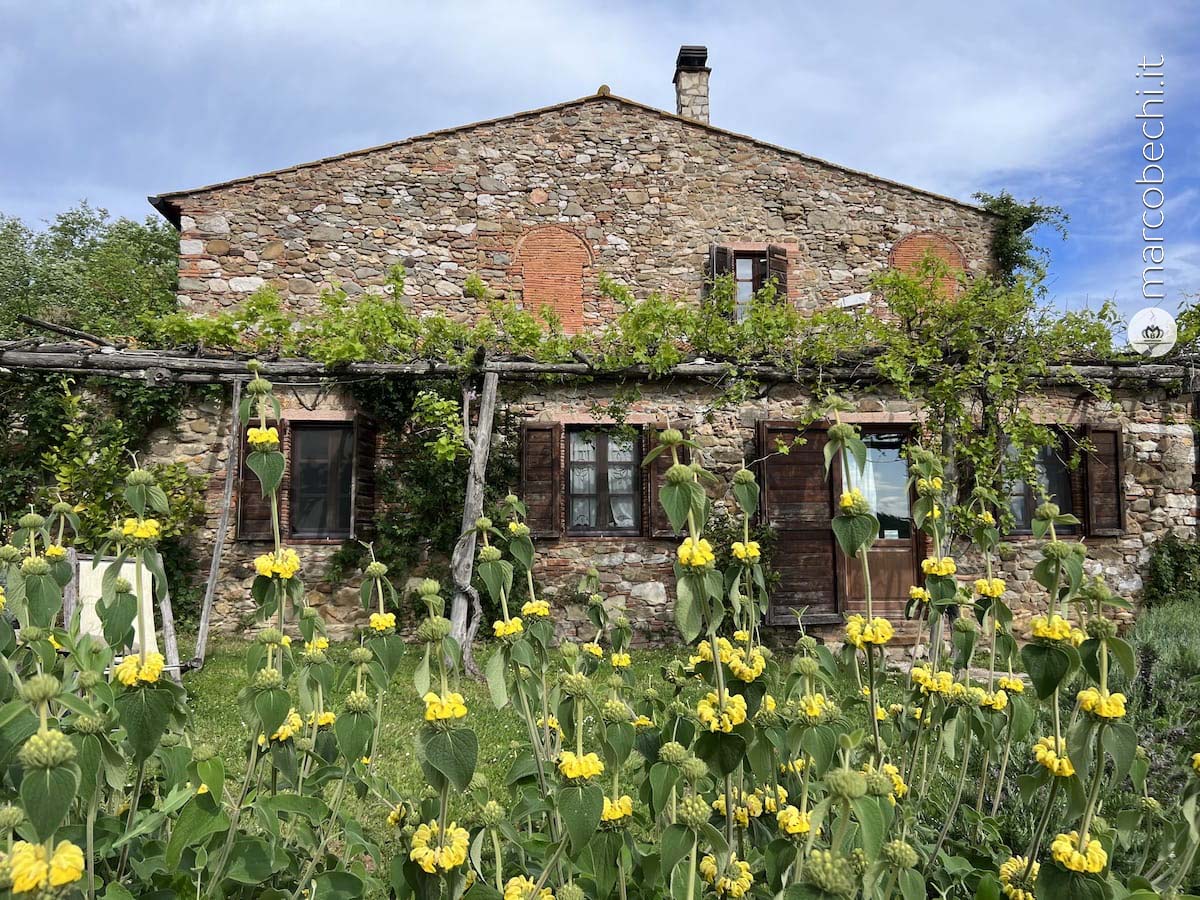 La Cerreta Terme, verde campagna e biodinamica gourmet