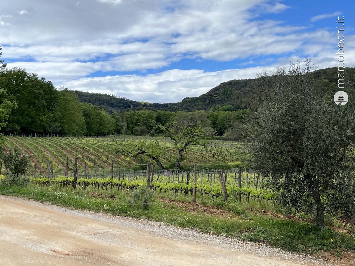La Cerreta Terme, verde campagna e biodinamica gourmet