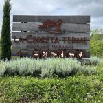 La Cerreta Terme, verde campagna e biodinamica gourmet