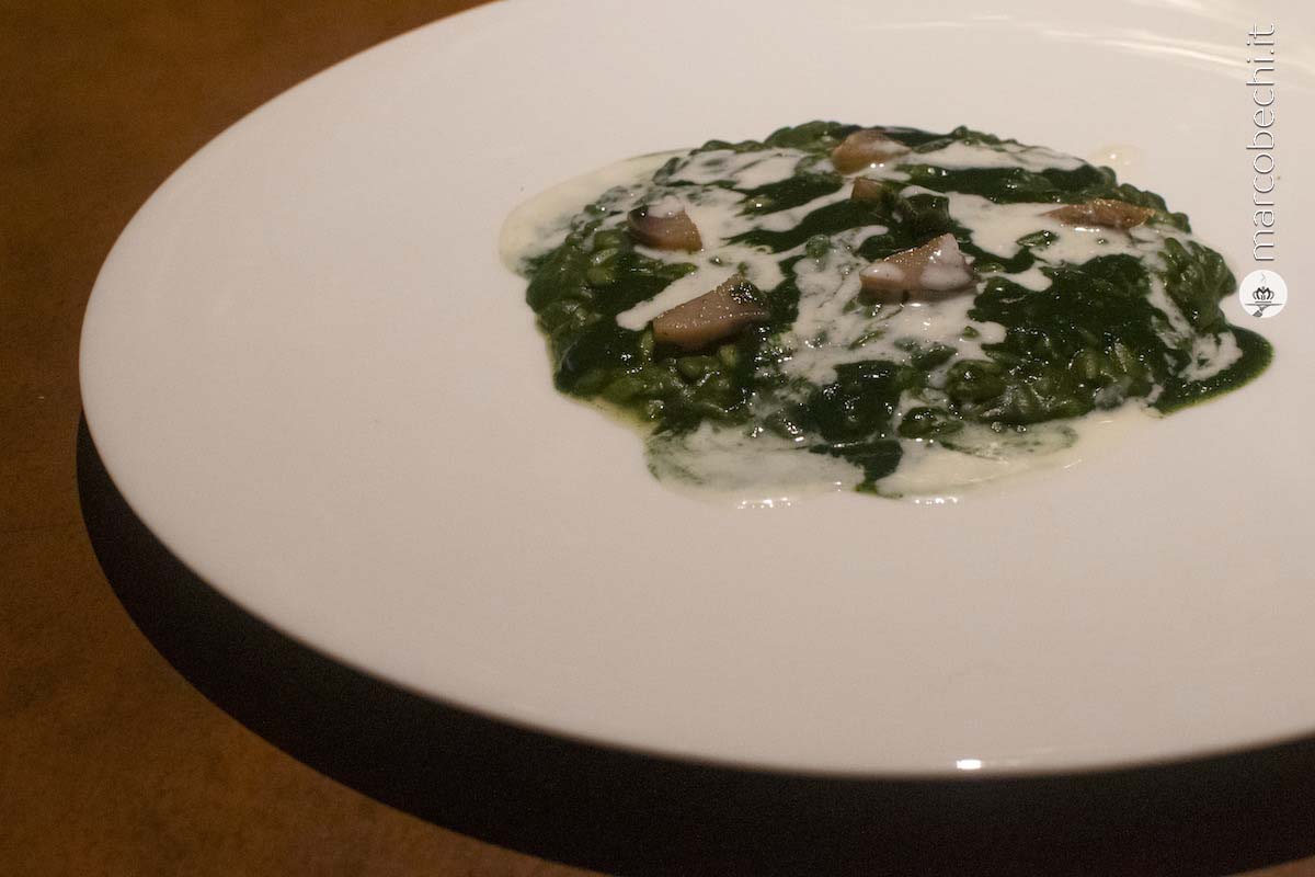 Il risotto Acquerello Rondolino