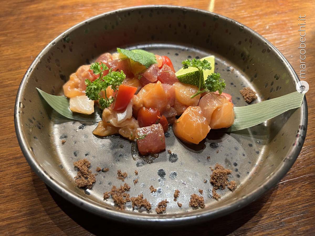 il ceviche