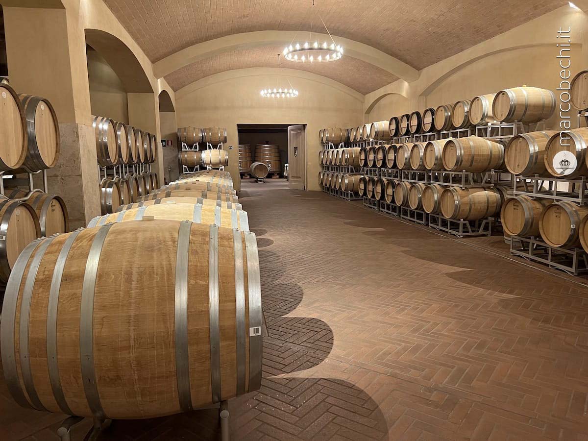 La bottaia di Cecchi