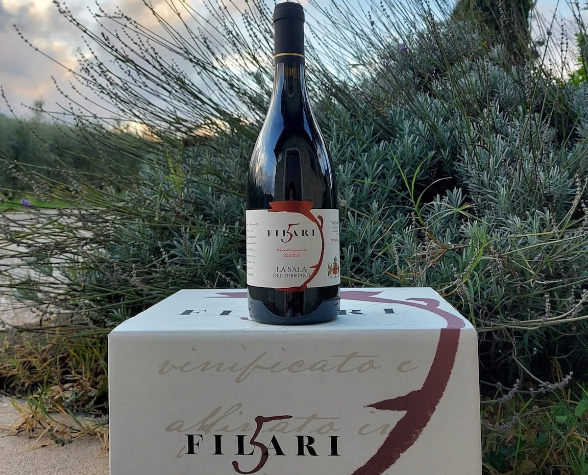 Toscana IGT 5 Filari 2020