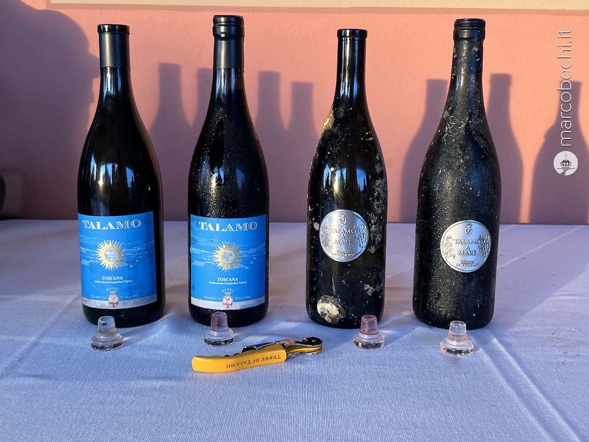i vini degustati