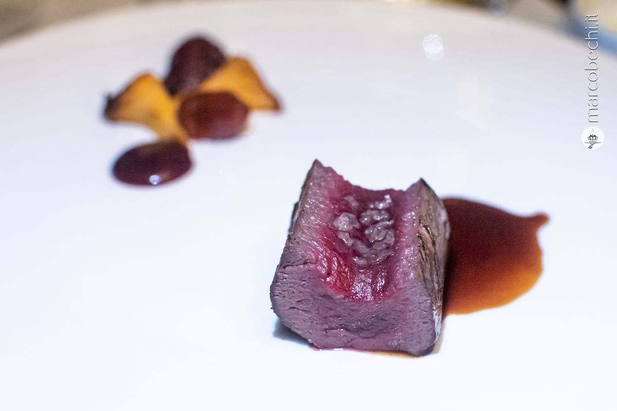 Cervo in tartare e filetto, gallinacci, ciliegie e jus al cioccolato