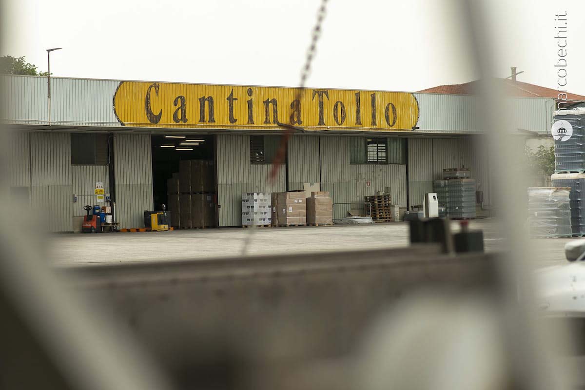 Cantina Tollo