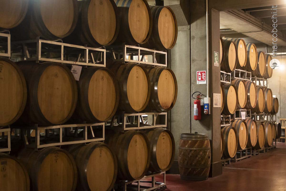 La barriccaia a Cantina Tollo