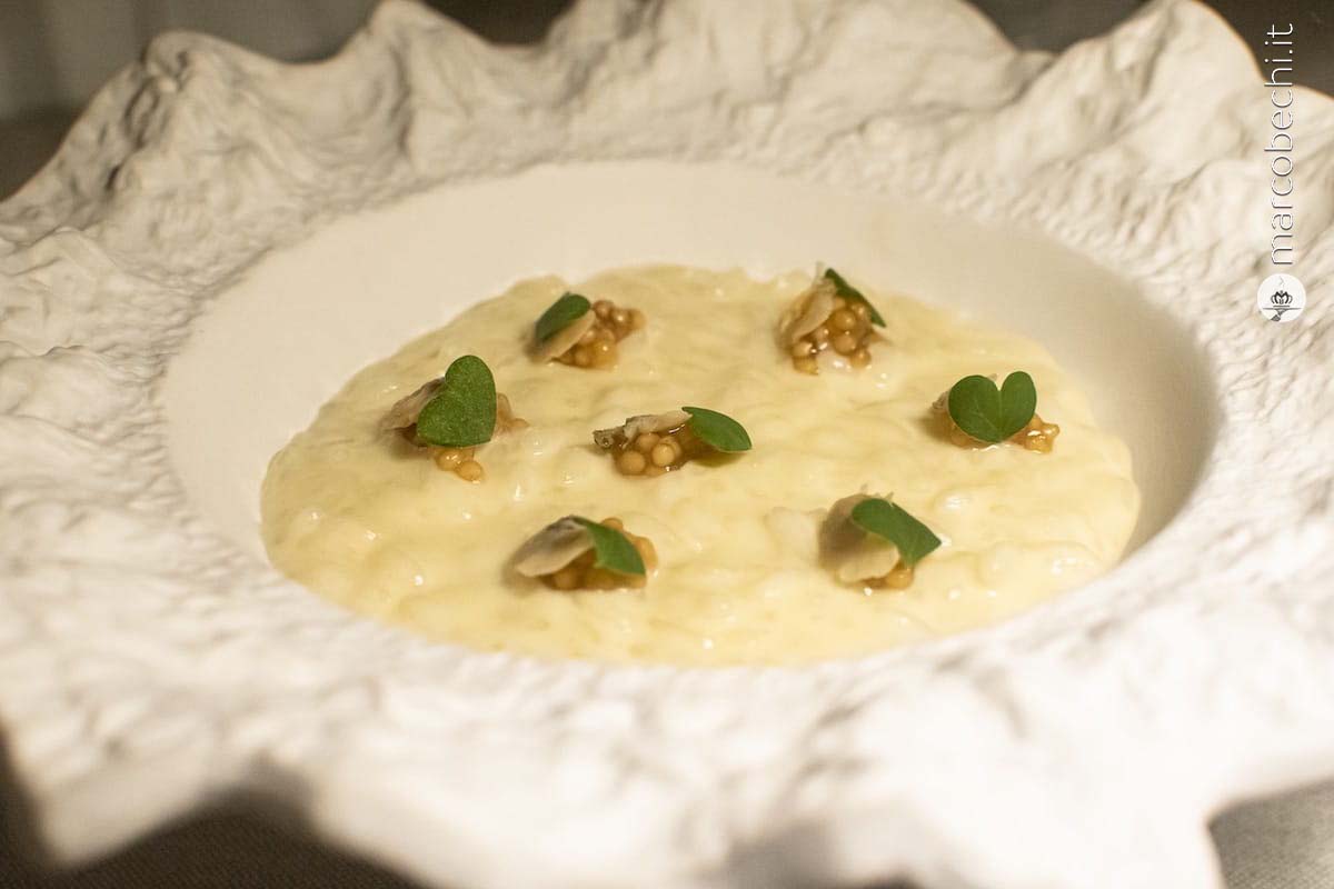 Risotto carnaroli "Riserva San Massimo"crema topinambur, ragù di arselle, semi di senape e birra