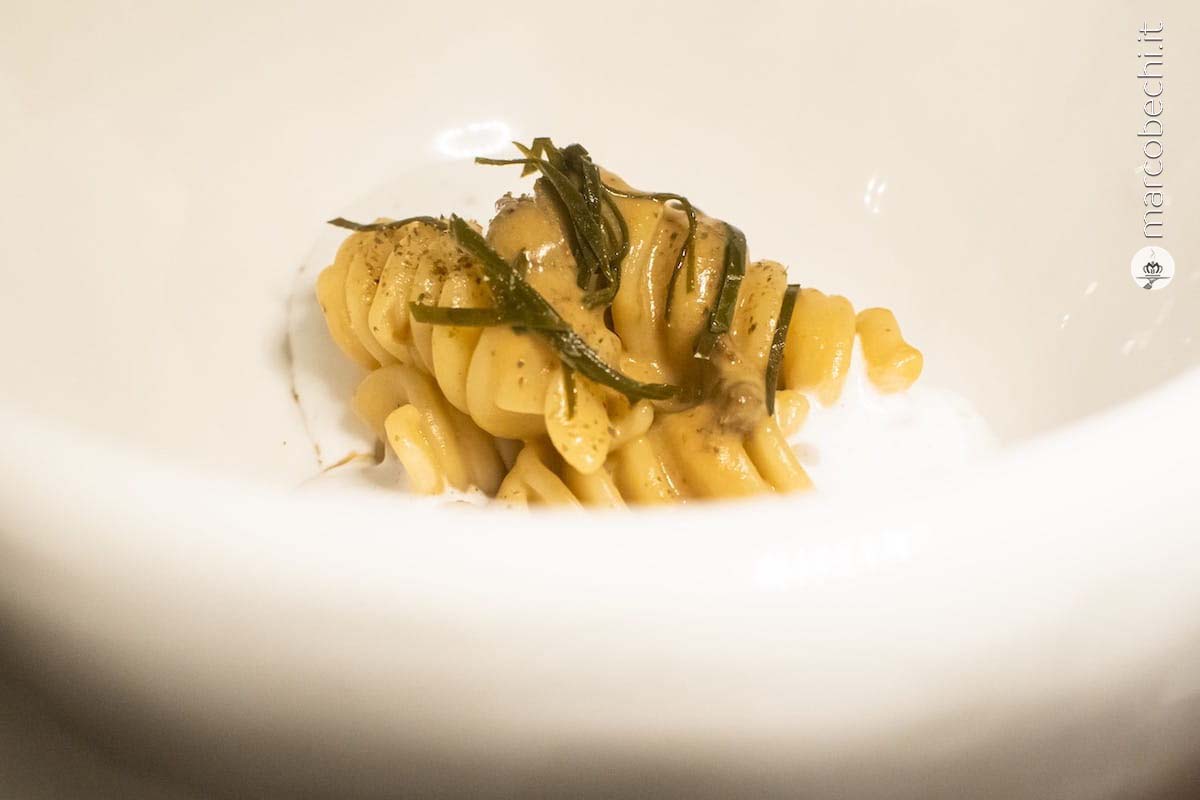 Fusillone ai ricci di mare