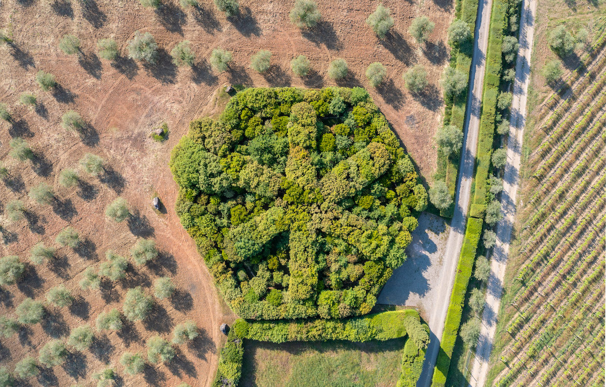 Il Roccolo in una visione aerea