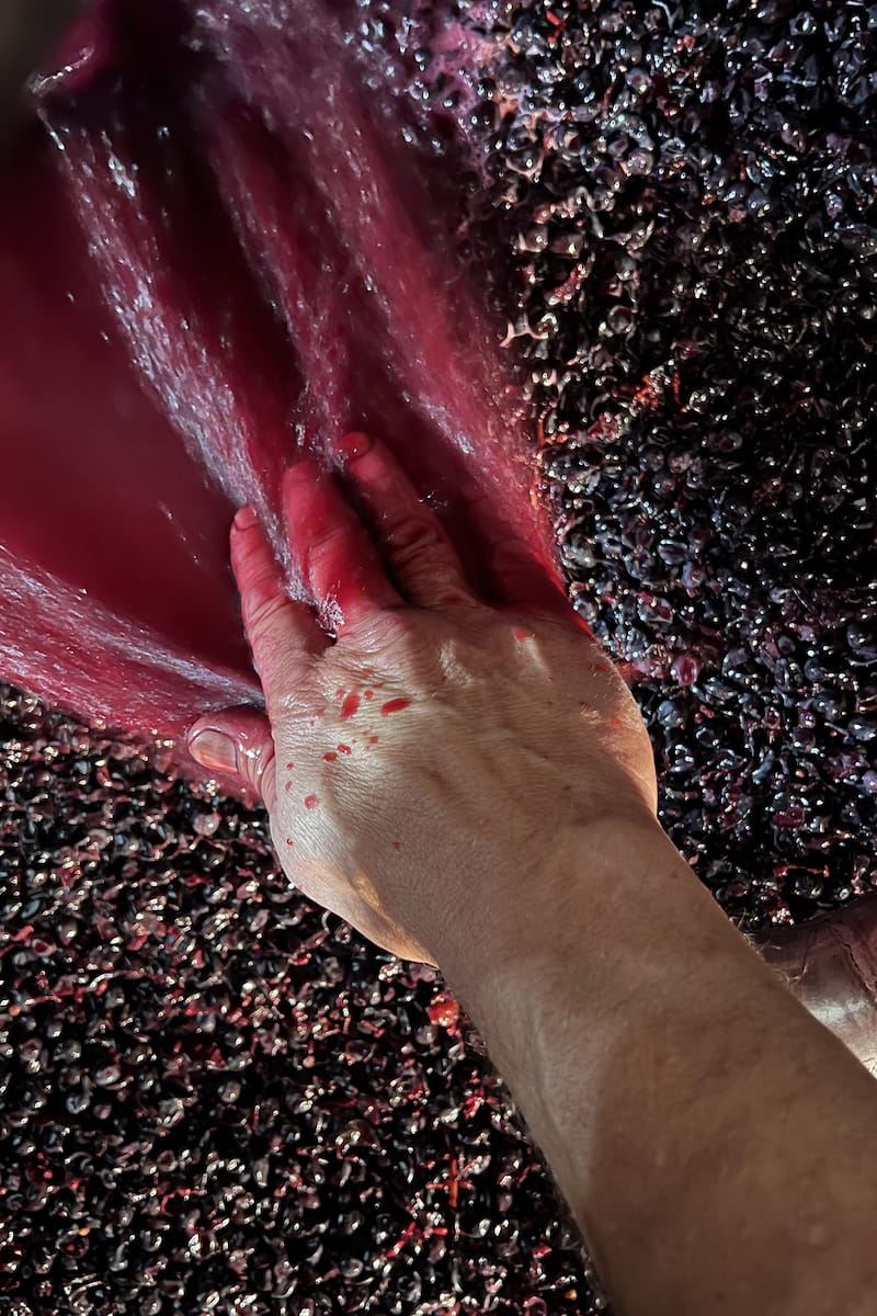 29^ Edizione di Vino al Vino a Panzano in Chianti dal 15 al 17 settembre