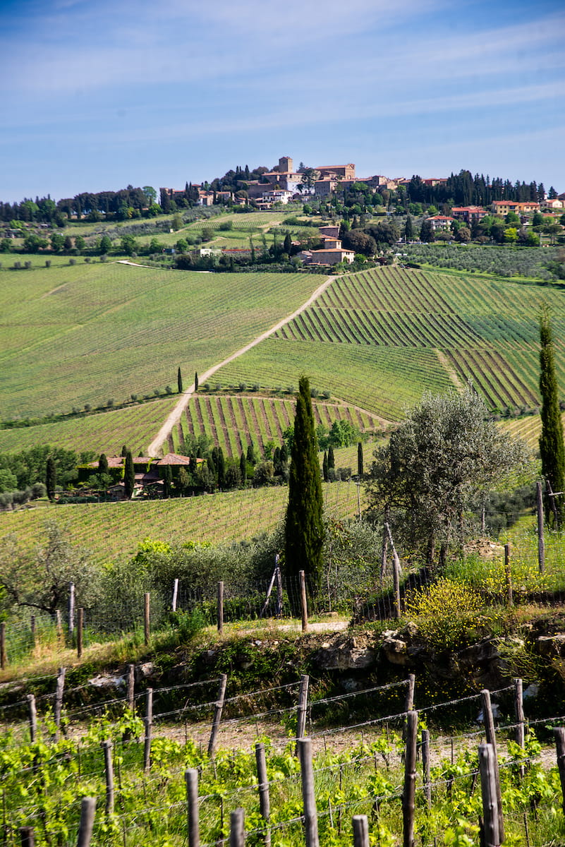 29^ Edizione di Vino al Vino a Panzano in Chianti dal 15 al 17 settembre