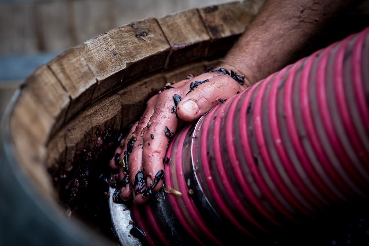 29^ Edizione di Vino al Vino a Panzano in Chianti dal 15 al 17 settembre