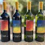 A Fiesole nuova vita per l’hotel diventato cantina di Bibi Graetz